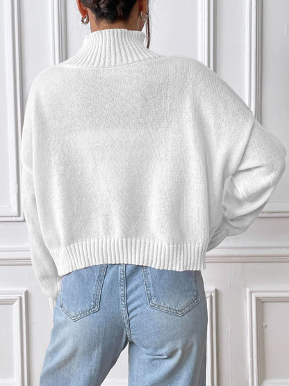 Turtleneck Long Sleeve Sweater